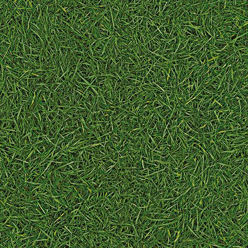 Линолеум бытовой "IVC" Bingo Grass 25 (3м) — купить в Астрахани