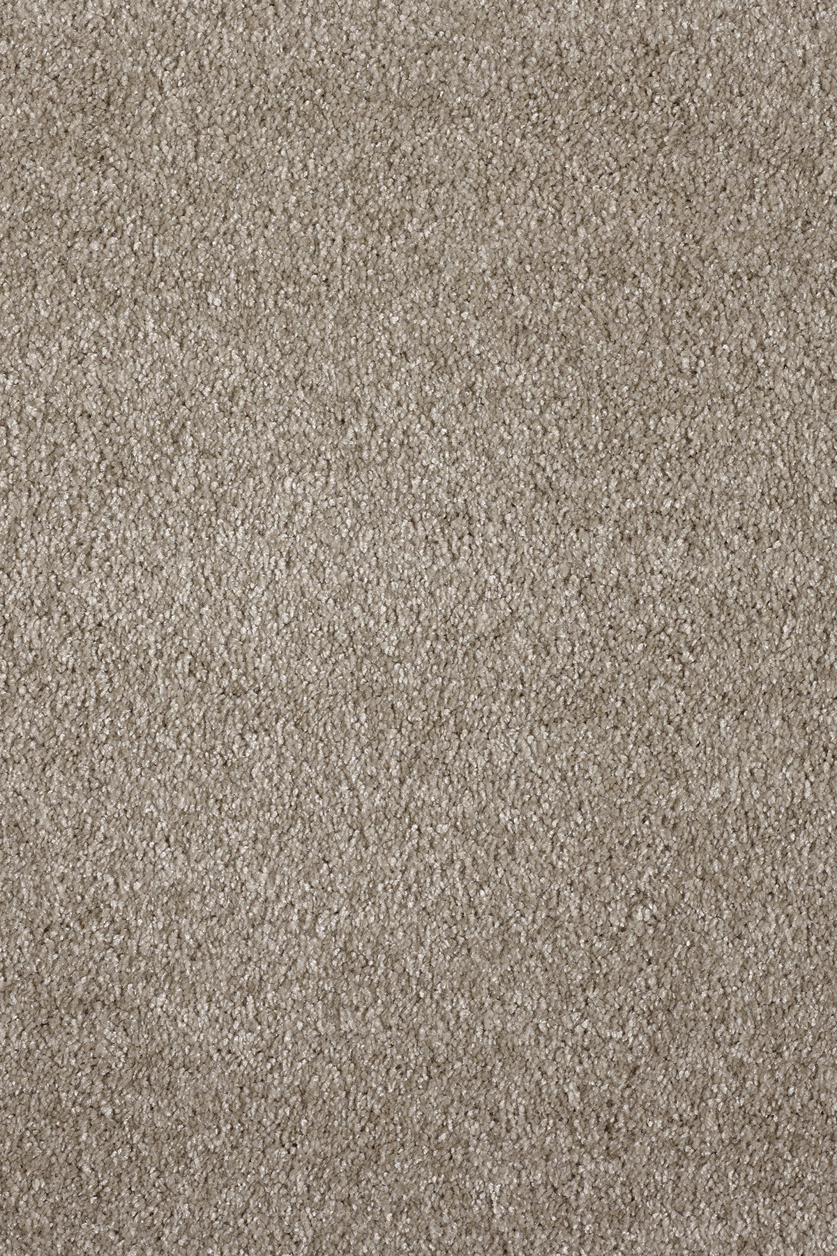 Ковровое покрытие "Bonkeel" Parana 34 (ширина 4м/5м) — купить в Астрахани