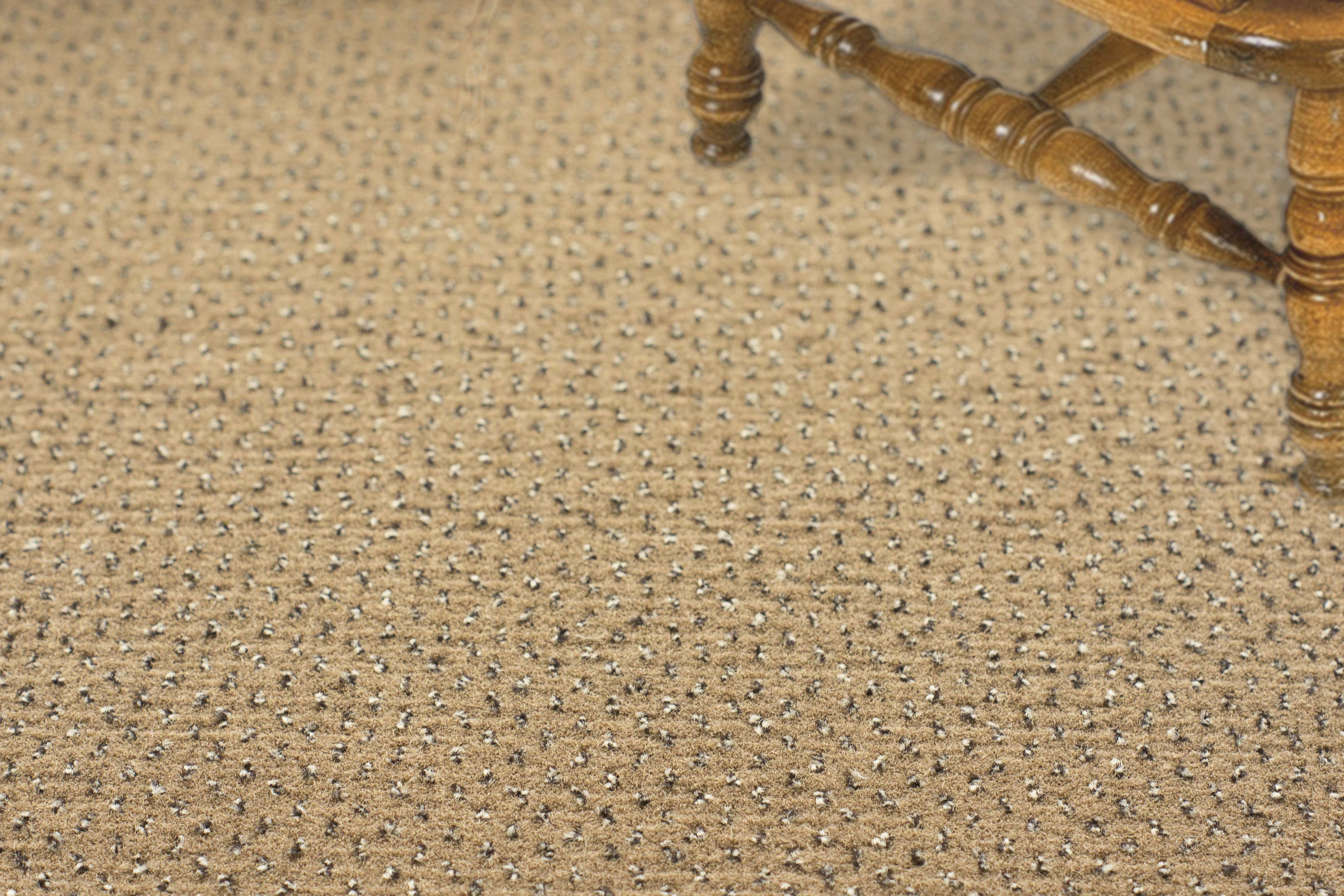 Ковролин "Зартекс" Eternity 142 бежевый (4м) — купить в Астрахани