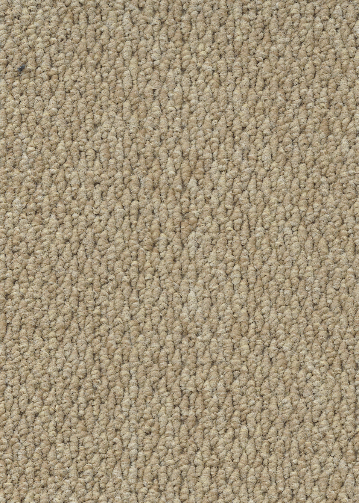 Ковровое покрытие "Bonkeel" Skye 50 (ширина 4м) — купить в Астрахани